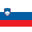 flag slovenia