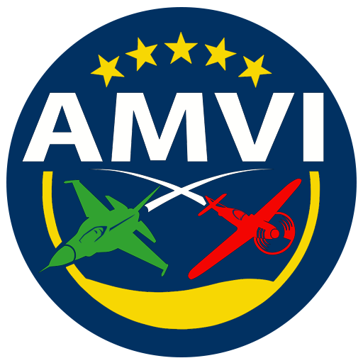 AMVI Logo